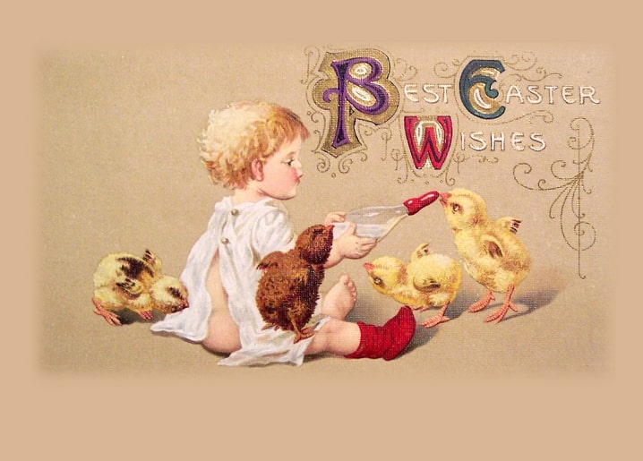 Vintage-Illustration: Kind füttert Küken mit dem Fläschchen, Osterpostkarte