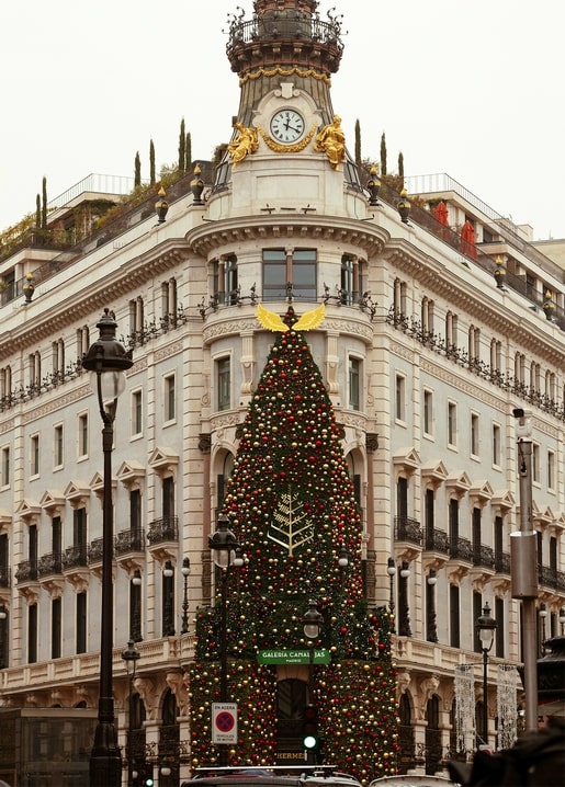 Historic clock-tower building decorated with a giant lit Christmas tree