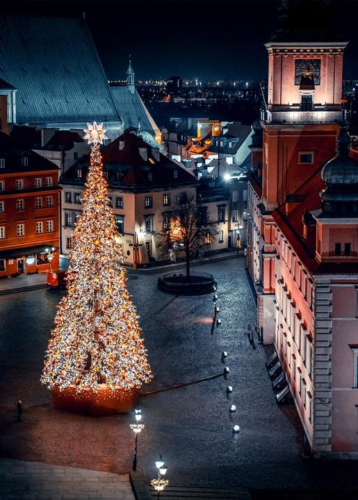 Star-topped Christmas tree lit up on a historic old town square at night