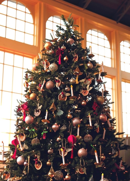 Decorated Christmas tree glowing in sunlight through tall arched windows