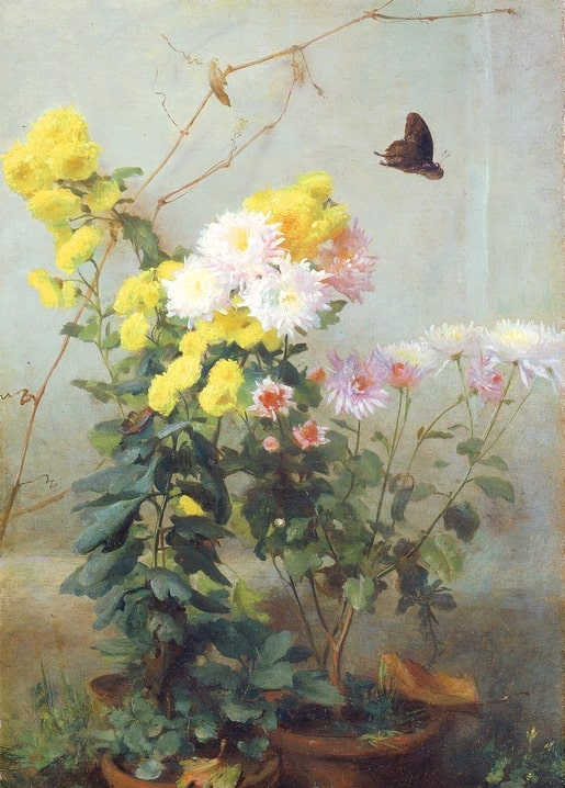 Dunkler Schmetterling fliegt über getopfte gelbe, weiße und rosa Chrysanthemen
