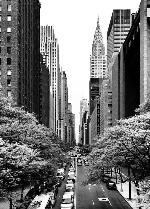 Schwarz-weißes Foto einer New Yorker Straße mit blühenden Bäumen und dem Chrysler Building in der Ferne
