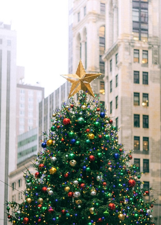 Christmas tree with gold star topper against historic city buildings