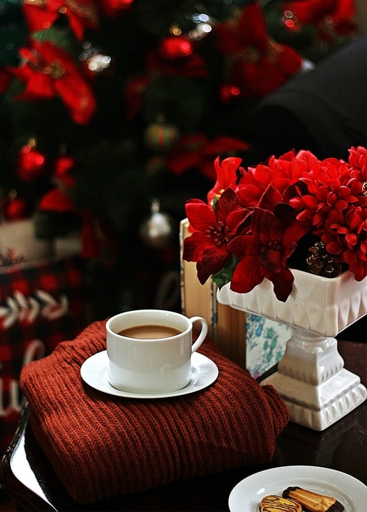 Tasse Kaffee auf einem roten Pullover neben roten Blüten und Keksen vor einem beleuchteten Weihnachtsbaum