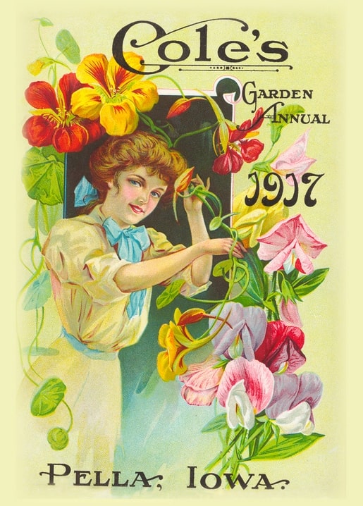 Cole's Garden Annual 1917 cover with a woman arranging nasturtiums and sweet peas