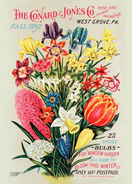 Conard & Jones Co. 1897 bulb catalog cover with iris, daffodils, tulip and hyacinth bouquet