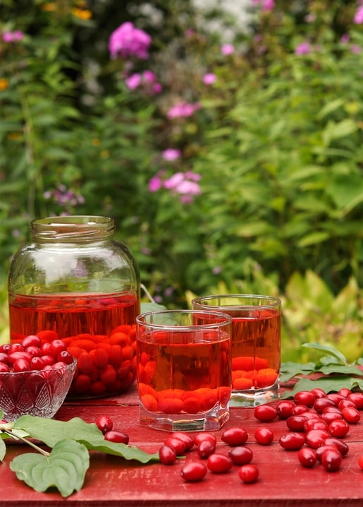 Jar and glasses of red cornel berry compote on a garden table