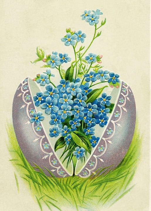 Vintage-Postkarte mit aufgesprungenem Ei und blühendem Vergissmeinnicht im Inneren