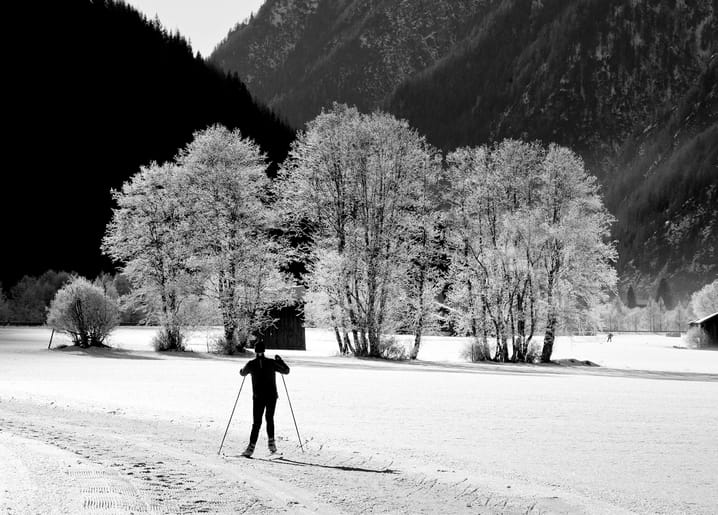 Cross-country skier gliding past frost-covered trees in a snowy alpine valley