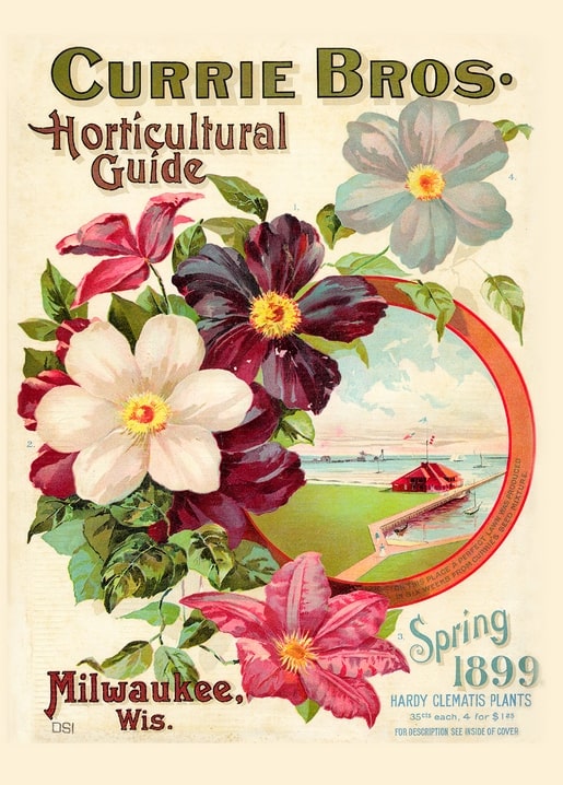 1899 Currie Bros. Horticultural Guide cover with clematis blooms and an inset harbor scene