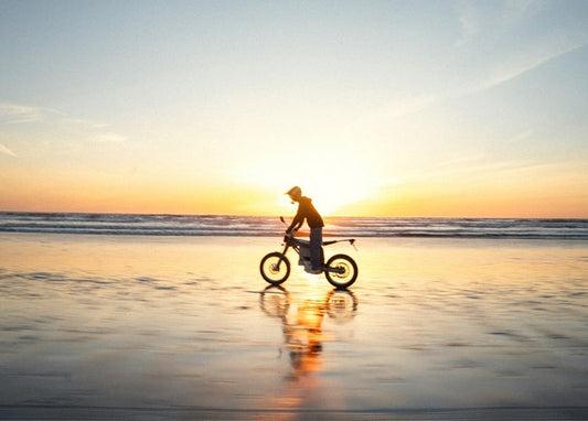 Silhouette of a cyclist riding along wet beach sand at sunset