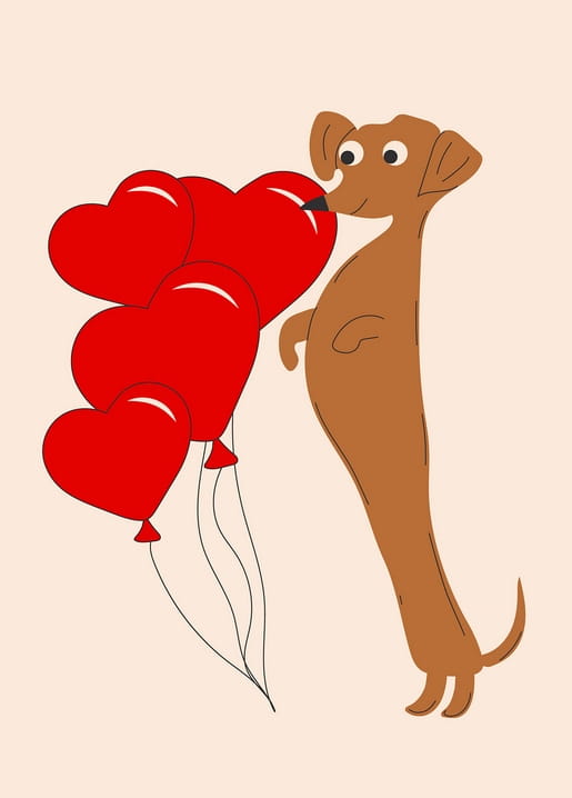 Illustration eines Dackels Nase an Nase mit roten Herzluftballons vor Pfirsich-Hintergrund