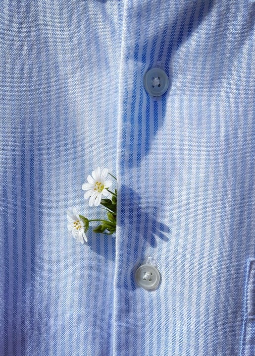 White daisies tucked into the buttonhole of a blue and white striped oxford shirt