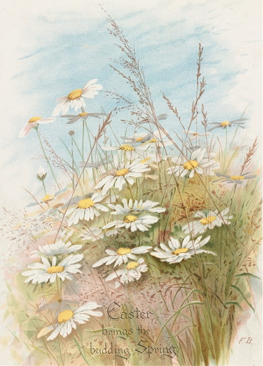 Vintage-Illustration weißer Margeriten und Libellen auf einer Wiese mit Frühlingsschriftzug