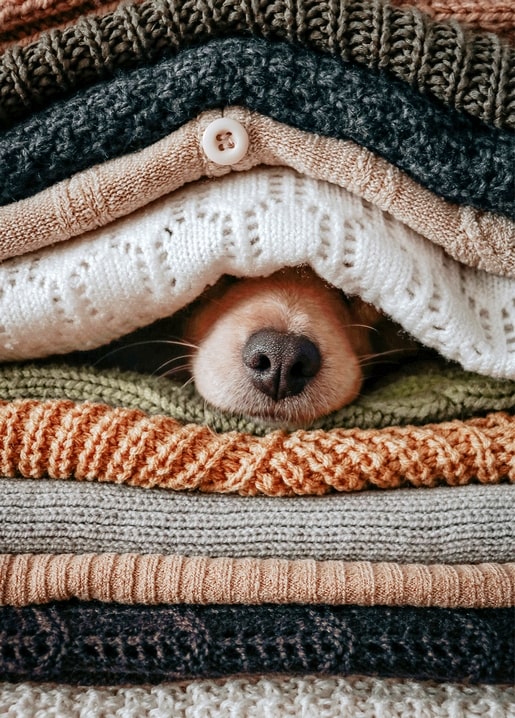 Dog's nose peeking out between a stack of chunky knitted sweaters