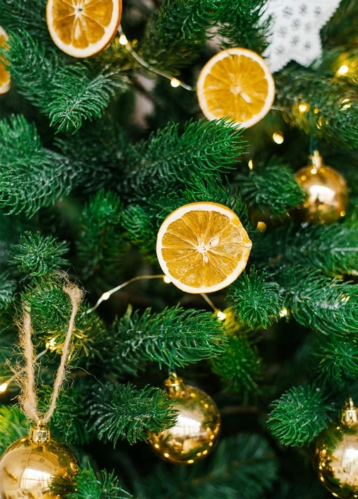 Close-up of dried orange slices and gold baubles hanging on pine branches