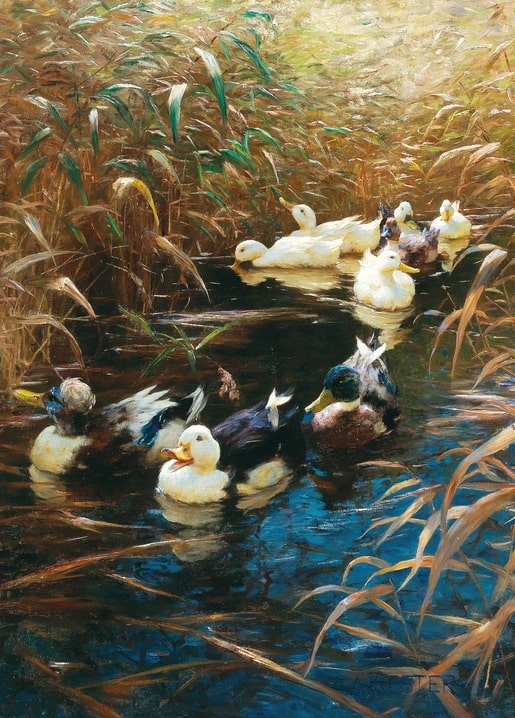 Gemälde einer Entenschar, die durch herbstliches Schilf und blaues Wasser schwimmt, von Alexander Koester