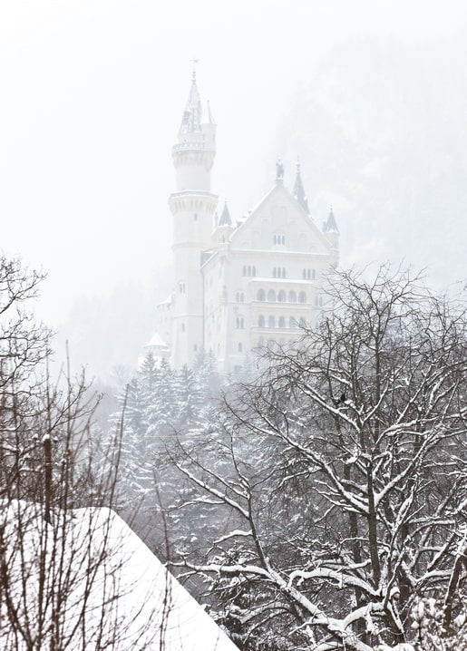 White fairytale castle towers fading into winter fog above snowy trees