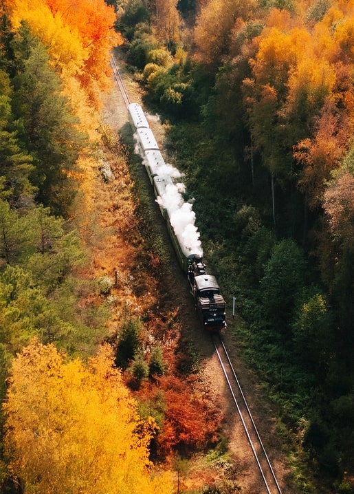 autumn photo postcard