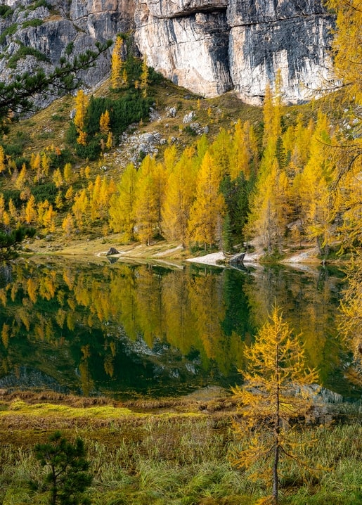 autumn photo postcard