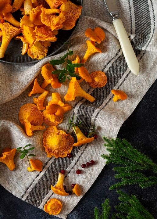 autumn photo postcard