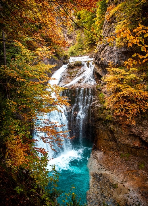 autumn photo postcard