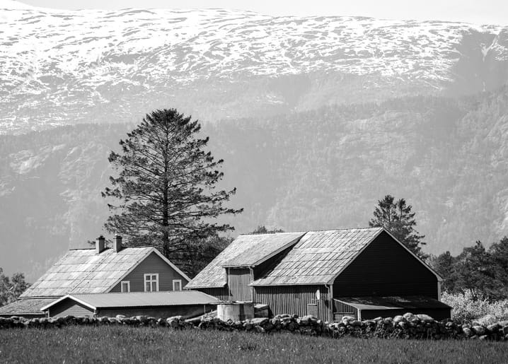 Schwarz-weißes Foto eines Bauernhauses mit Scheune vor schneebedeckten Bergen und einer einzelnen Kiefer