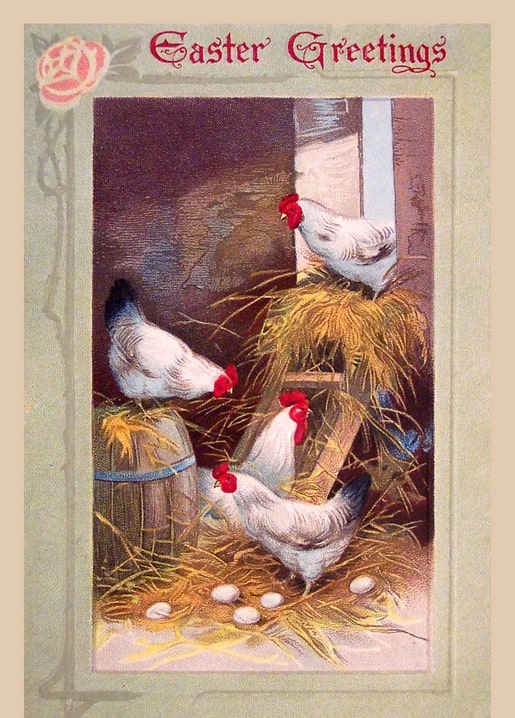 Vintage-Illustration von Hennen und Hahn beim Eiersammeln im Stroh auf dem Bauernhof