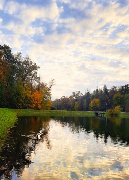 Still pond mirroring clouds and autumn trees at sunset, Feofania Park, Kyiv