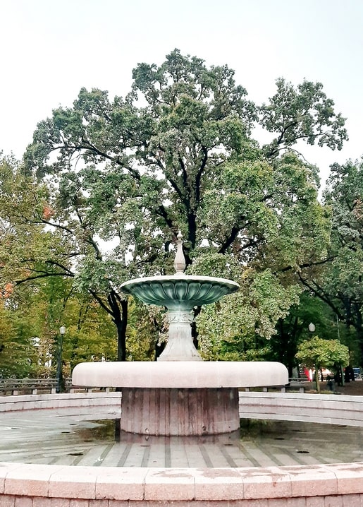 Tiered stone fountain beneath an old oak tree in Feofania Park, Kyiv