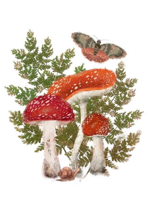 Vintage botanical illustration of fly agaric mushrooms, fern, moth, and snail