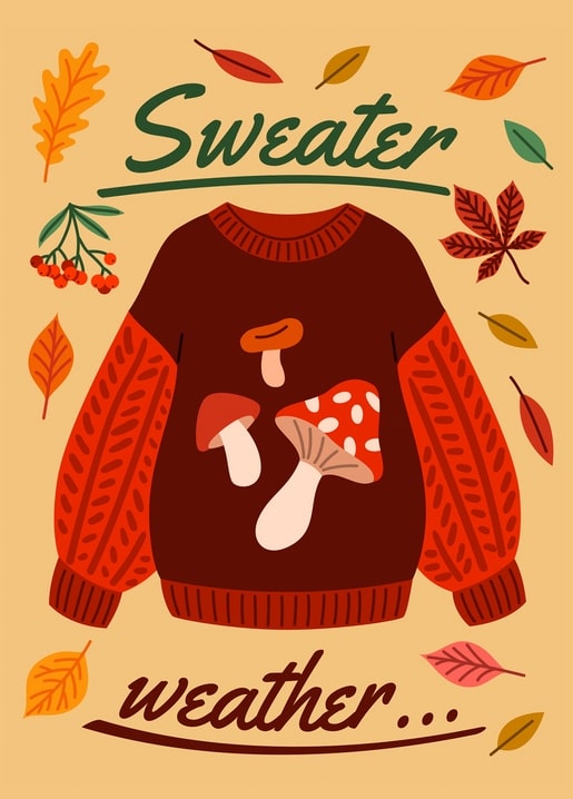 Illustrated burgundy sweater with fly agaric mushrooms and 'Sweater weather' lettering