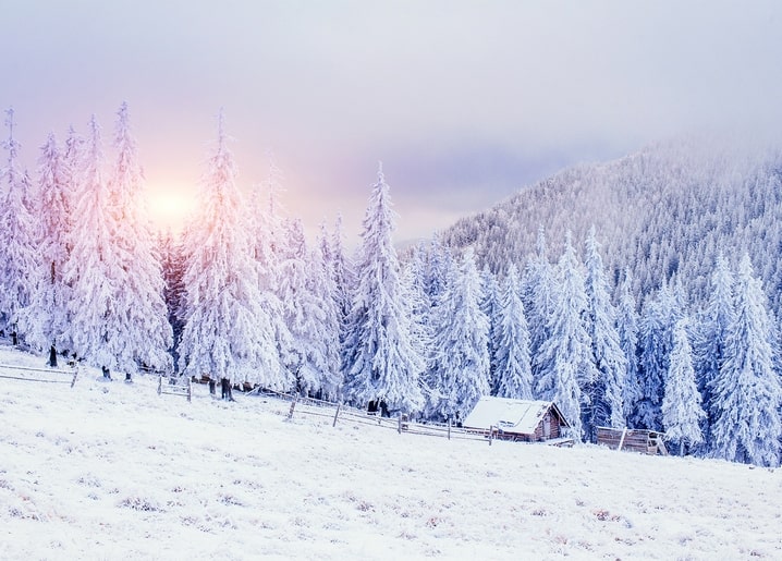 Snow-covered pine forest glowing pink at sunrise with a wooden cabin below
