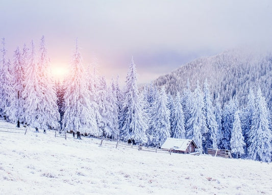 Snow-covered pine forest glowing pink at sunrise with a wooden cabin below