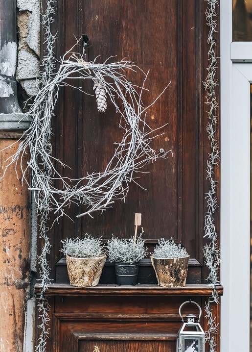 Frosty twig wreath and potted frozen greenery on a rustic wooden door