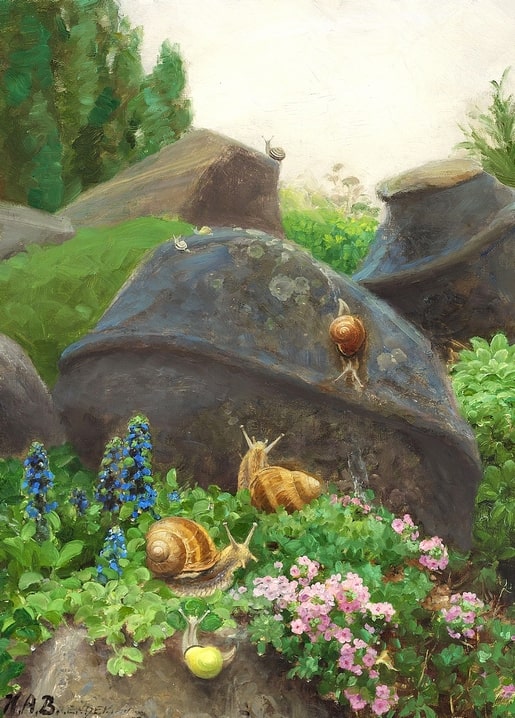 Garden snails climbing grey boulders among blue and pink flowers