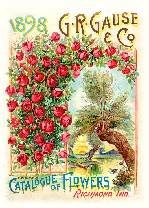1898 G.R. Gause & Co. seed catalog cover with a climbing rose arch and river landscape at sunset