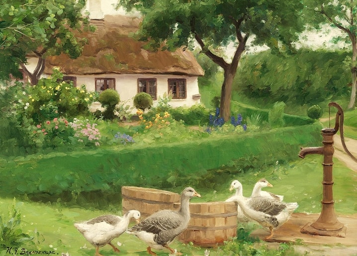 Four geese by an old hand pump in front of a thatched cottage garden