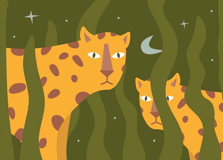 Graphic illustration of a leopard and two cubs in green grass under a night sky with a crescent moon