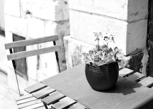 Potted geranium on a café table beside a wicker chair, black-and-white photo