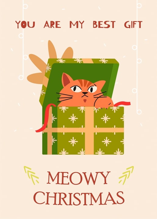 Ginger cat peeking out of an open Christmas gift box with red ribbon