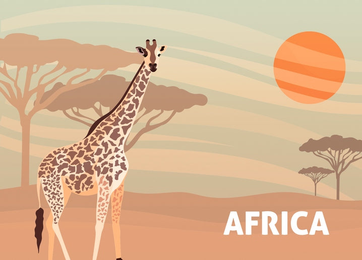 Giraffe zwischen Akazien bei Sonnenuntergang über der afrikanischen Savanne