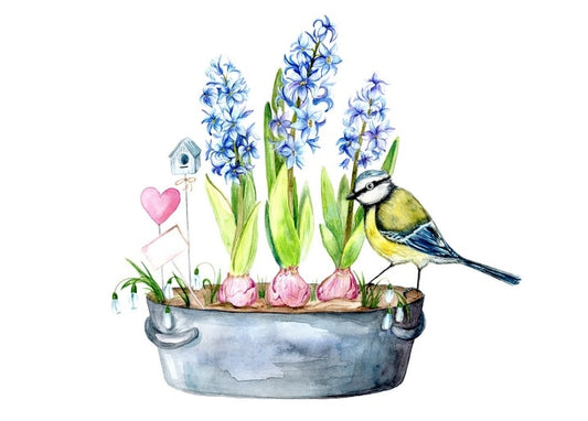 Aquarell-Kohlmeise neben einem Zinktopf mit Hyazinthen, Schneeglöckchen und einem Herz-Stecker