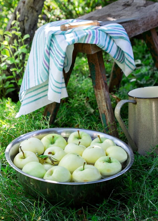 Metallschüssel mit blassgrünen Äpfeln neben gestreiftem Handtuch und Emaillekanne im Garten