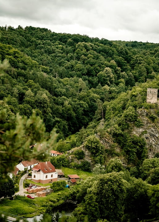 Luftaufnahme eines bewaldeten grünen Tals mit Bauernhaus und Burgruine auf dem Felsen