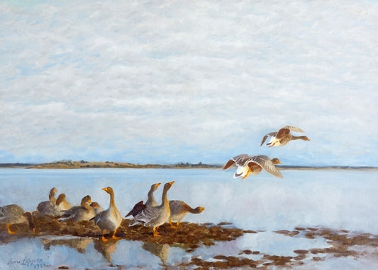 Graugänse am Wattenufer, zwei Vögel im Flug über ruhigem Wasser, Gemälde von Bruno Liljefors, 1922.