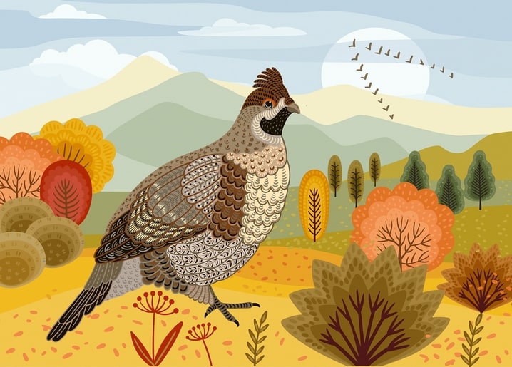 Flat-style illustration of a grouse walking through an autumn landscape with migrating birds