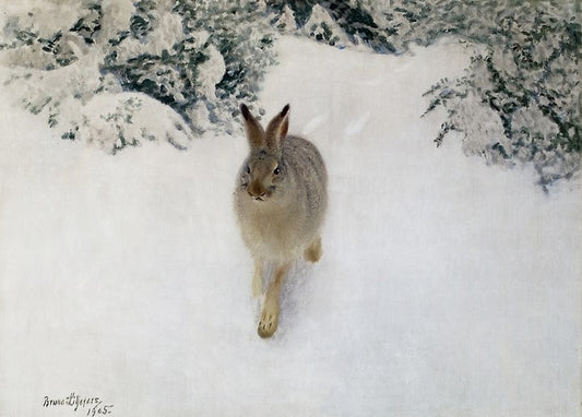 Hare running through snow toward the viewer, ears back, oil painting by Bruno Liljefors, 1905