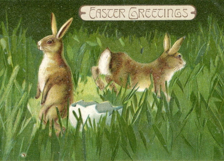 Zwei Hasen im Gras neben einer zerbrochenen Eierschale unter einem Ostergruß-Banner