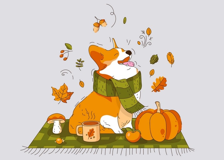 autumn illustrations